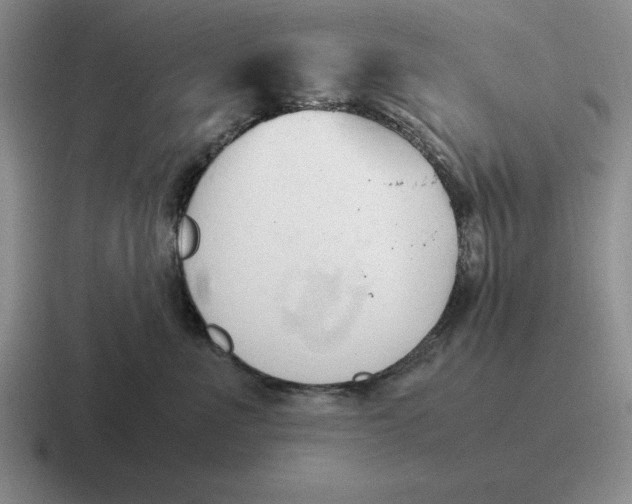 X0000116680523201001041151