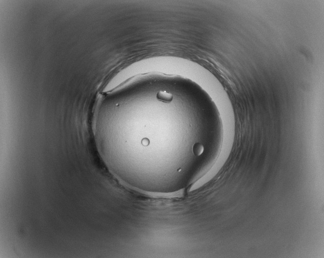 X0000116680524201001041151