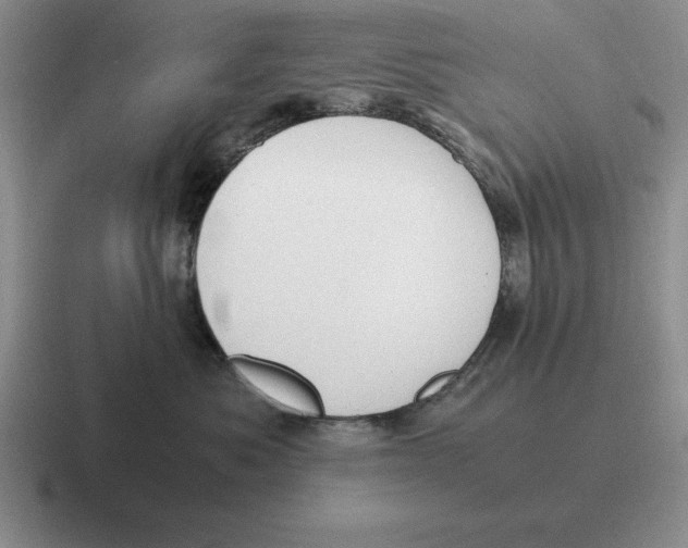 X0000116680525201001041151