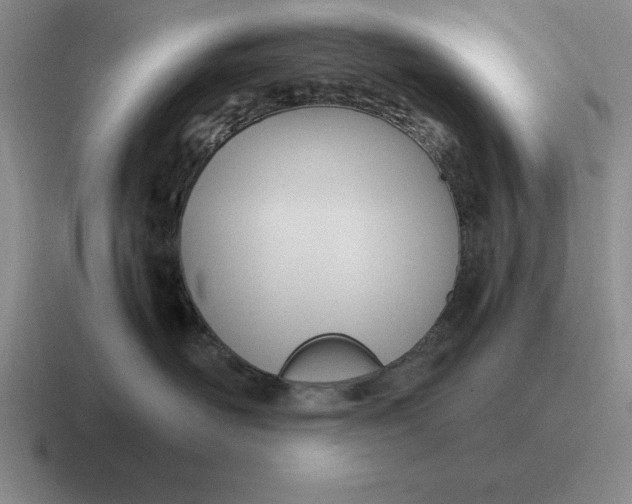 X0000116680526201001041151