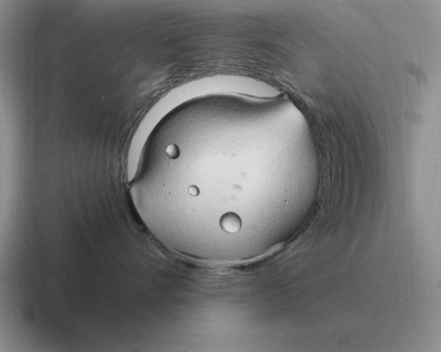 X0000116680528201001041151