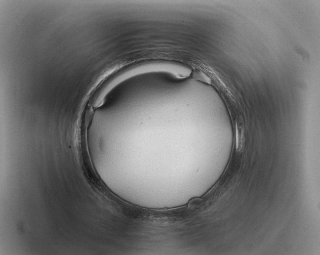 X0000116680531201001041150