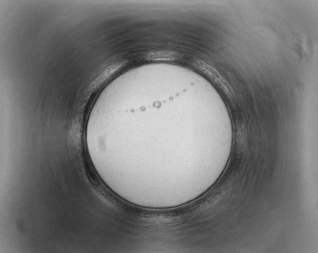 X0000116680533201001041150