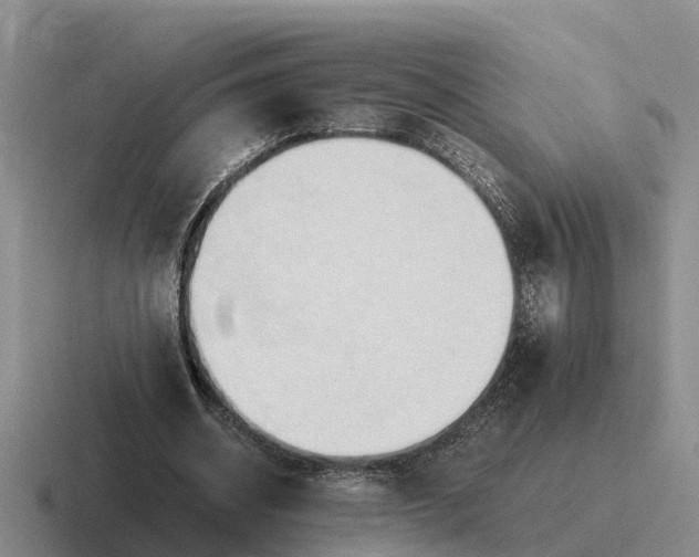 X0000116680534201001041150