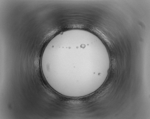 X0000116680537201001041150