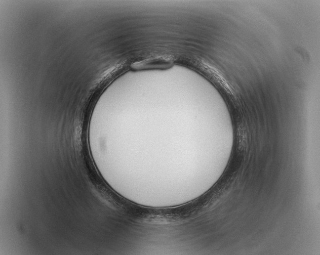 X0000116680538201001041150