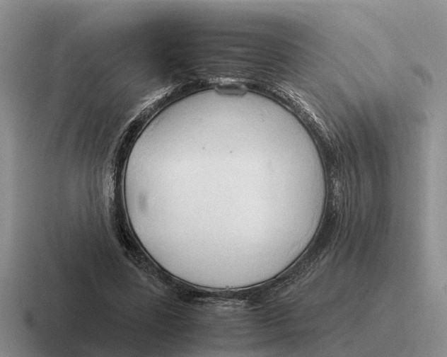 X0000116680539201001041150