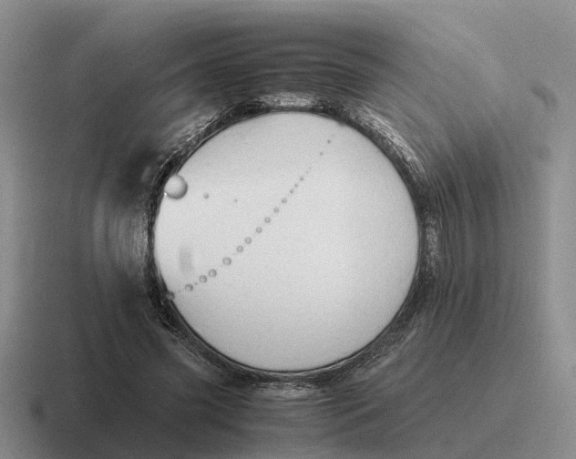 X0000116680541201001041151