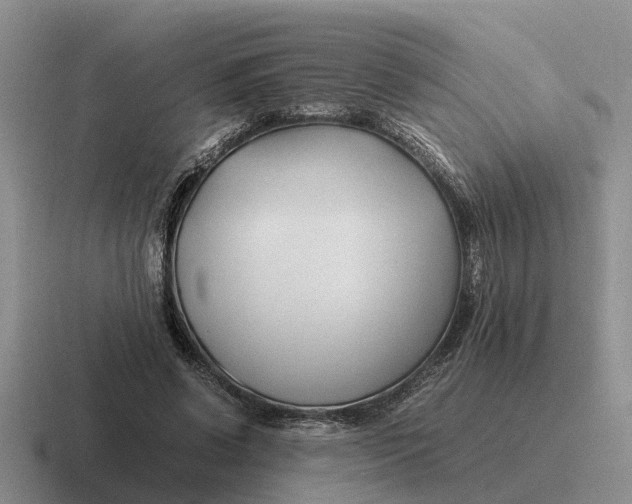 X0000116680542201001041151