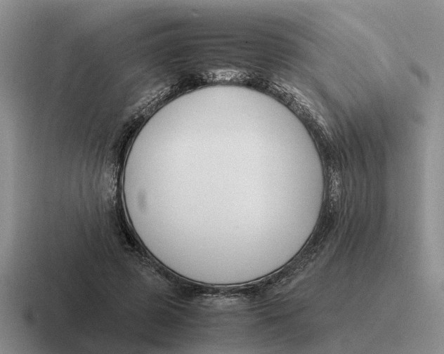 X0000116680545201001041151