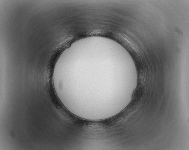 X0000116680546201001041151