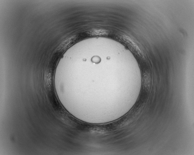 X0000116680549201001041151