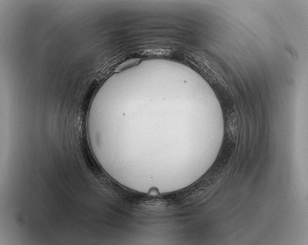 X0000116680551201001041151