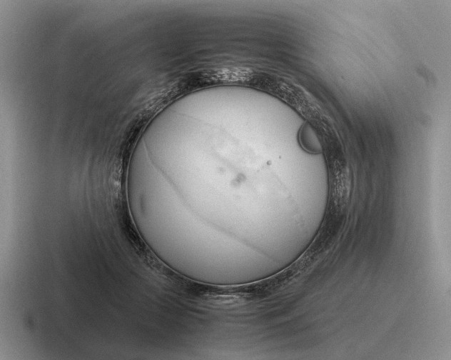 X0000116680553201001041151