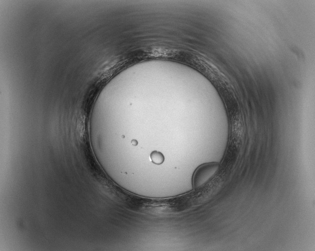 X0000116680554201001041151