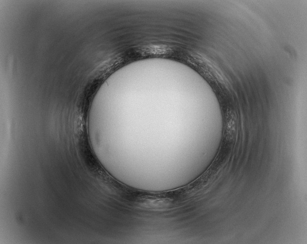 X0000116680555201001041151