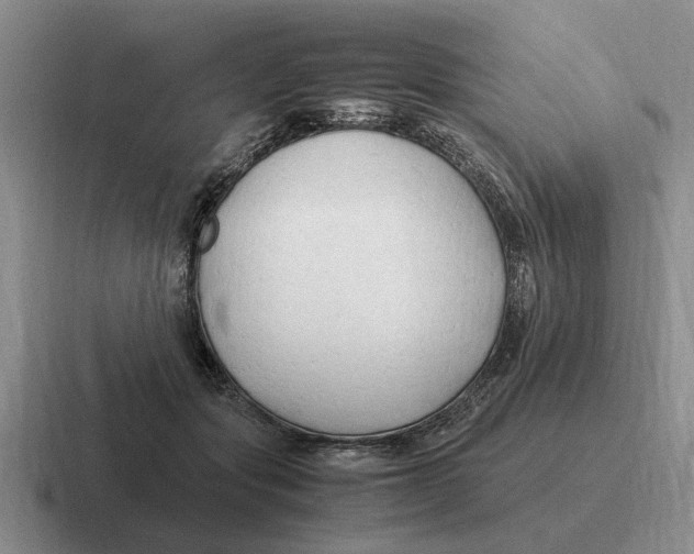 X0000116680557201001041151