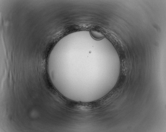 X0000116680563201001041151