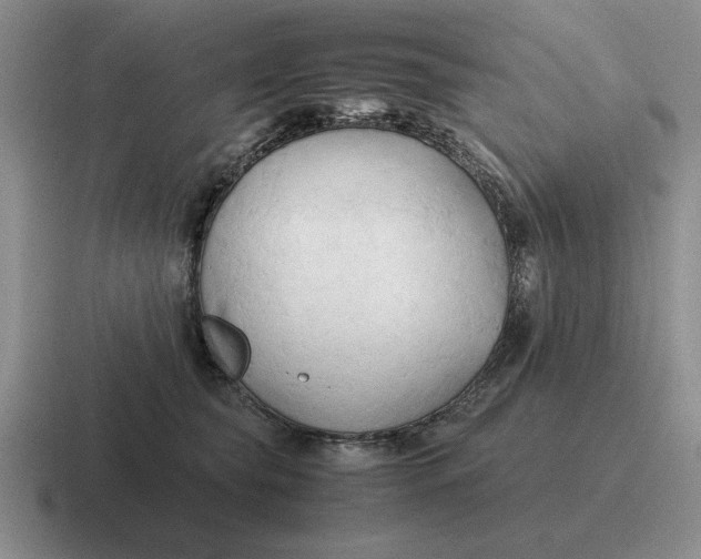 X0000116680565201001041151