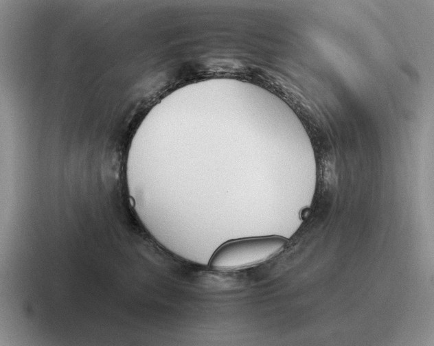 X0000116680567201001041151