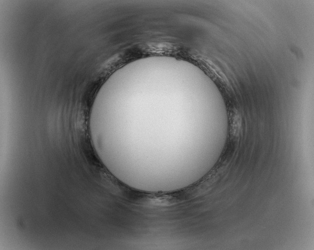 X0000116680569201001041151