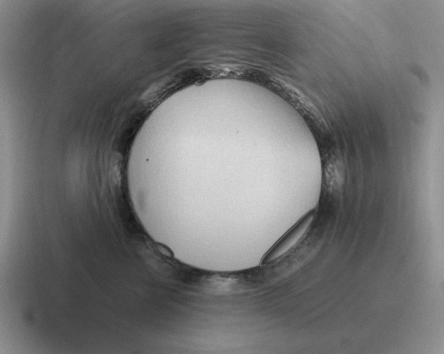 X0000116680570201001041151