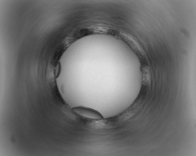 X0000116680573201001041151