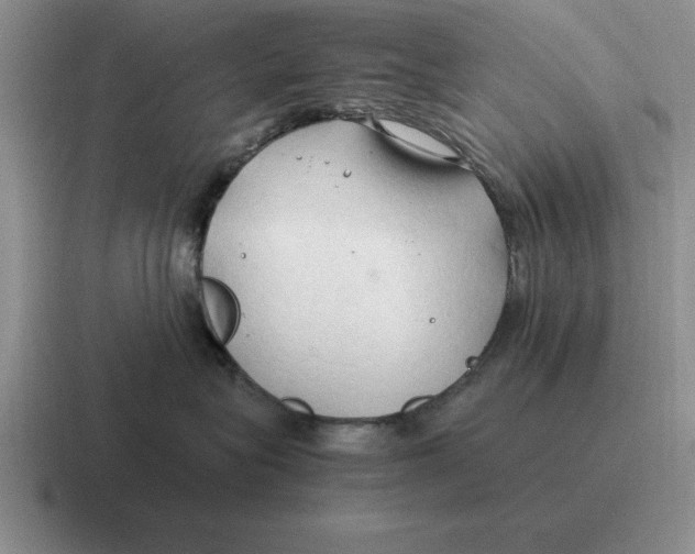 X0000116680575201001041151