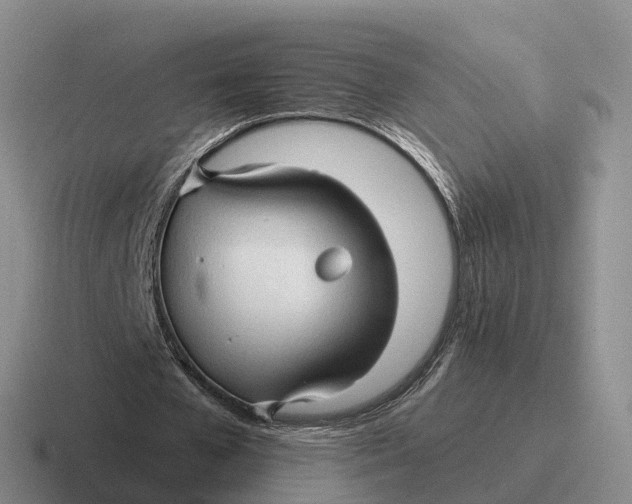 X0000116680577201001041150