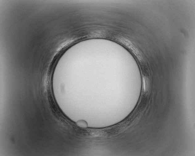 X0000116680579201001041150