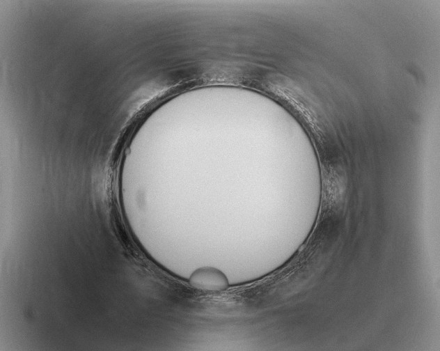 X0000116680583201001041150