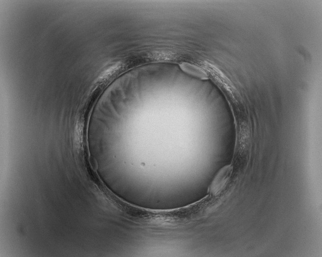 X0000116680585201001041150