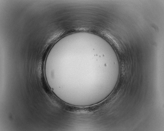 X0000116680586201001041150