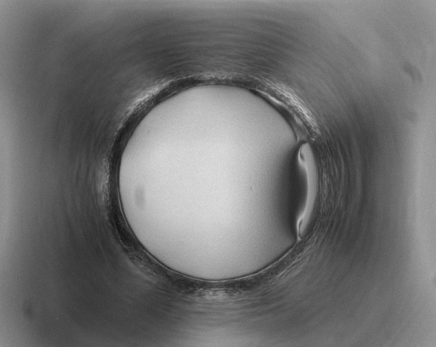 X0000116680588201001041150