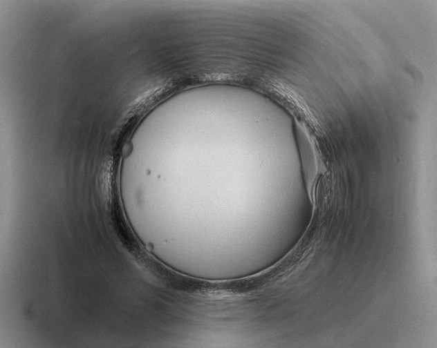 X0000116680590201001041150