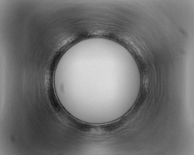 X0000116680591201001041150