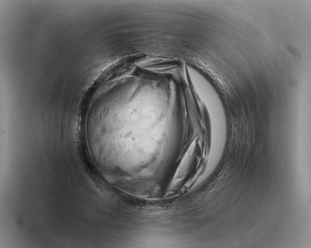 X0000116680592201001041150