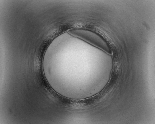 X0000116680593201001041150