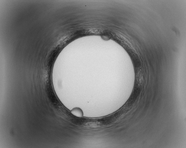 X0000116680595201001041150