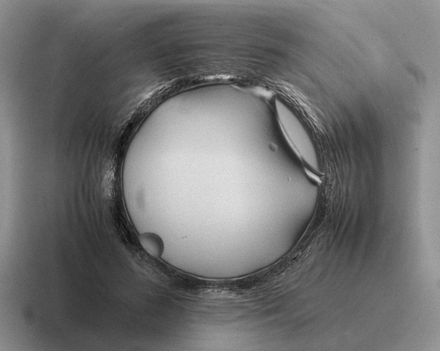 X0000116680596201001041150