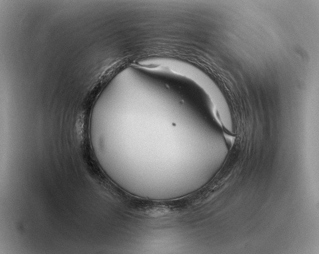 X0000116680600201001041150