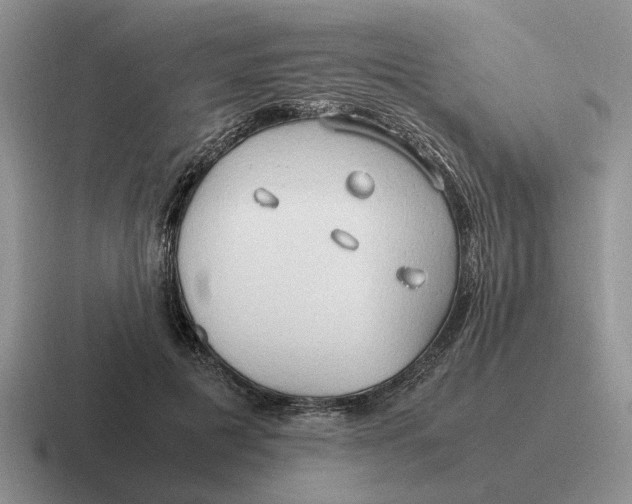 X0000116680601201001041150