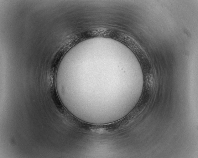 X0000116680602201001041150