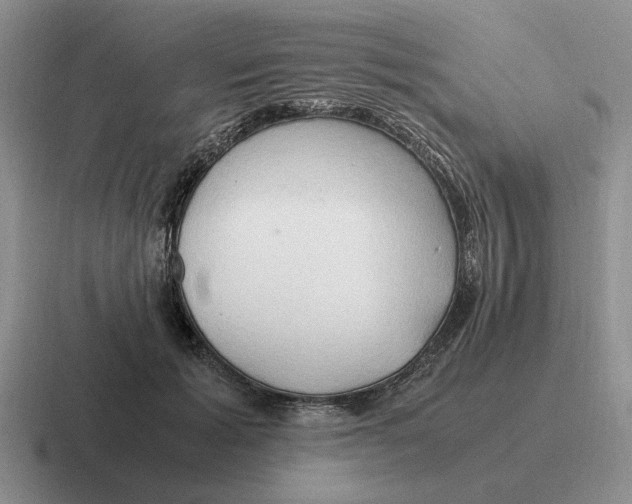 X0000116680605201001041150