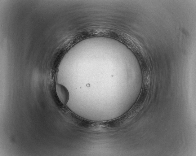 X0000116680607201001041150