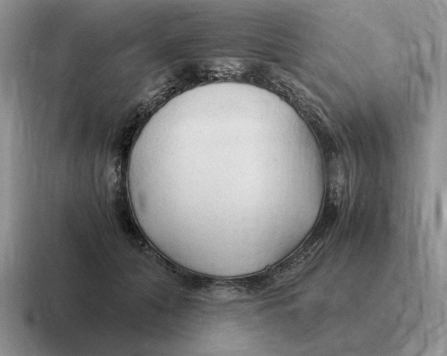 X0000116680608201001041150