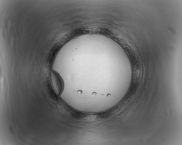 X0000116680609201001041150