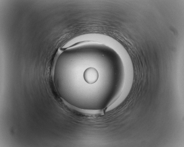 X0000116680611201001041150