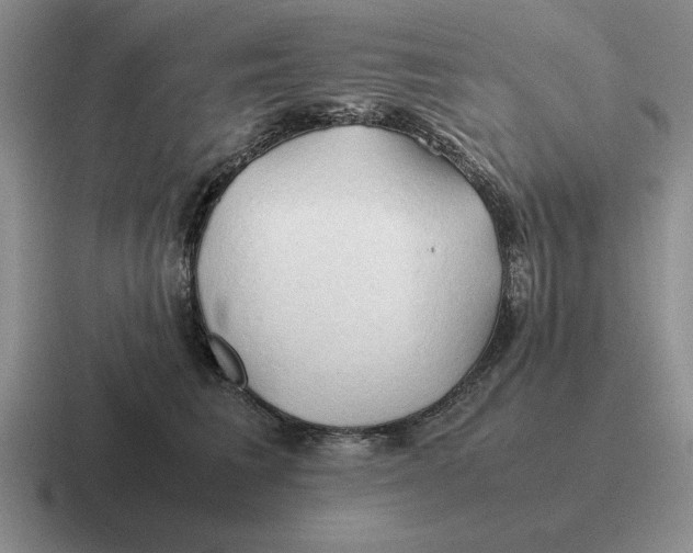 X0000116680613201001041150