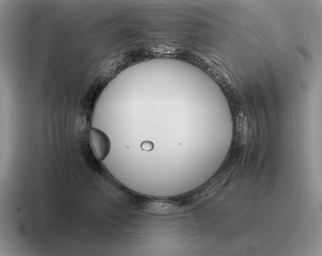 X0000116680614201001041150